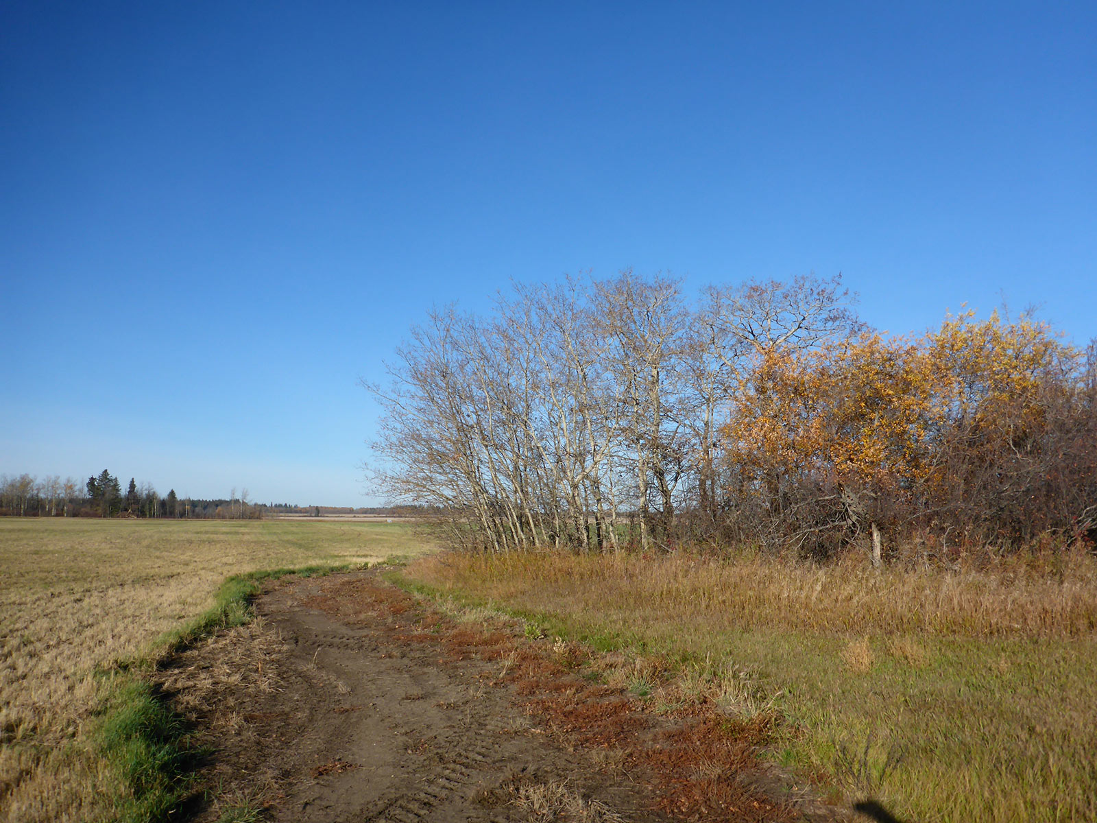 Grimshaw, AB November 24, 2015 Ritchie Bros. Auctioneers
